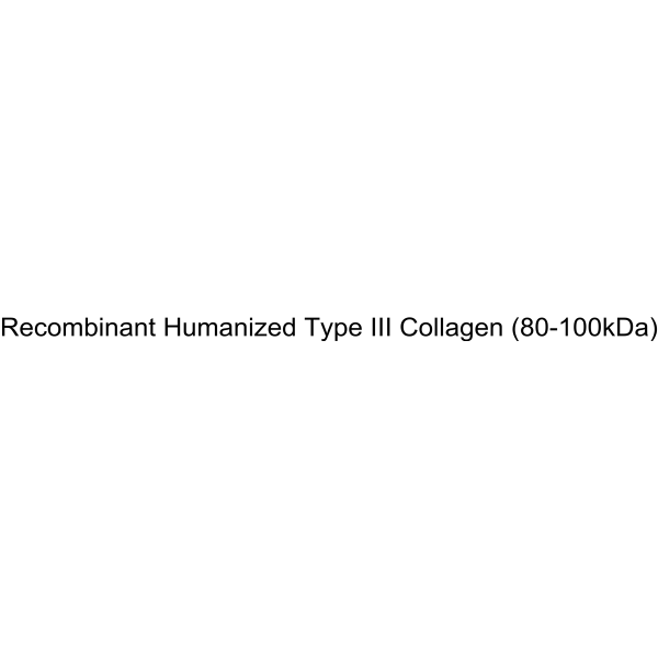 Recombinant Humanized Type III Collagen (80-100kDa)